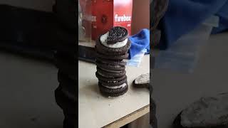 Oreo meme [upl. by Brenan2]