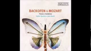 14 Allegretto  Mozart Clarinet Quintet in A Major for Basset Clarinet K 581 [upl. by Arhsub836]