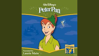 Peter Pan Storyteller [upl. by Eikcin]