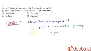 In the Chlorophyta the reserve food of protein surrounded by starch form a compact body termed [upl. by Gebelein]