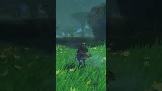 BOTW Zelda Hunting Thunderwing Butterfly Electric Darner Thundra Plateau [upl. by Yras383]