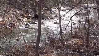 Passage Creek Watershed  Fort Valley  Tributary of NB of the Shenandoah River  86 Square Miles [upl. by Augusta]