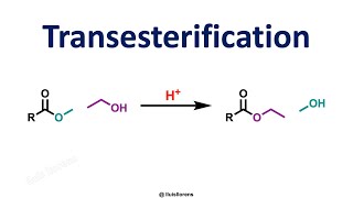 Transesterification Reaction [upl. by Adanama518]