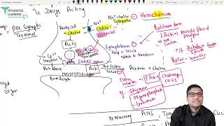 ANS cholinergic drugs Pharmacology for FMGE NEET PG By Dr Ashish [upl. by Cower]