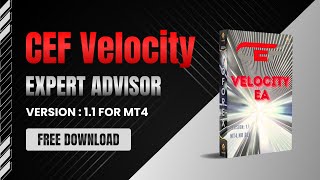 CEF Velocity EA V11 MT4  FULL REVIEW  FREE DOWNLOAD [upl. by Janerich]