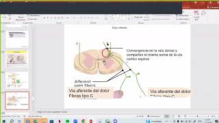 📚Clse 23 Parte IV Fisiopatología del Dolor Dr Aguilar [upl. by Ecnarual]