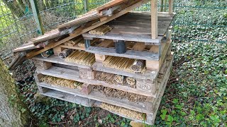 Erste Wildbienen fliegen am 28423 im Naturgarten Bienenhotel  Nisthilfe ua aus Europaletten [upl. by Leirol235]