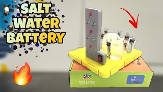 Salt Water battery Amazing project from Make amp Learn  Peephole View Toys [upl. by Glialentn755]