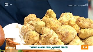 Tartufi eccellenza italiana  Unomattina 21102024 [upl. by Ettenyar]