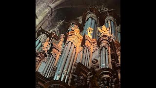 Choral quotAlle Menschen müssen sterben fredquot Frédéric Muñoz à lOrgue de la Cathédrale de Rodez [upl. by Acinehs]