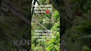 KANTA MONA SA TAAS NG NIYOGMULING IBALIK ANG TAMIS NG PAG IBIG [upl. by Noreik]