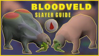 Mutated Bloodveld Melee Slayer Guide OSRS [upl. by Bridget]