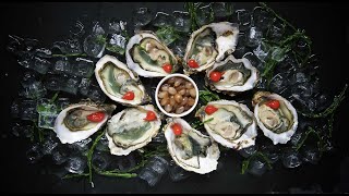 Oysters 10 Fascinating Facts [upl. by Grace]