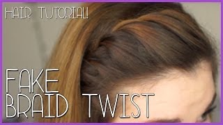 FAKE BRAID TWIST Tutorial [upl. by Nnylarej]