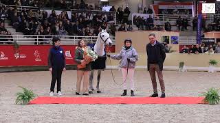 SALON DES ÉTALONS DE SPORT DE SAINTLÔ  PRÉSENTATION PONEYS [upl. by Renraw218]