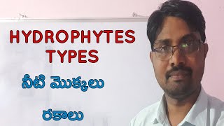 Hydrophytes types class 11 Bhaskars biology [upl. by Nynnahs791]