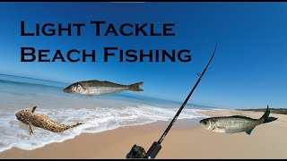 Australian Fishing Light Tackle Beach Fishing With Lures [upl. by Orpah159]