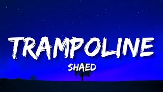 Shaed  Trampoline Lyrics [upl. by Nailliw]