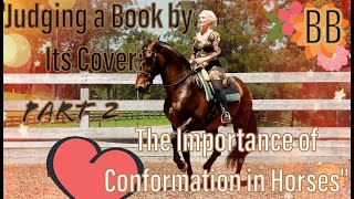 The Importance Of Conformation In Horses Discover the Surprising Truth About 🐴 Conformation Part 2 [upl. by Annoyi]