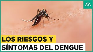 135 casos importados de Dengue ¿Cuáles son sus síntomas y riesgos [upl. by Gordie641]