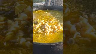 How to Make WoodFired Chicken Noodle Soup [upl. by Sucramad]