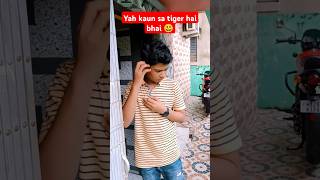 Yah kaun sa tiger hai bhai 😃funny shorts [upl. by Anaerol316]