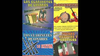 Los Clarinetes de Linares  POLKAS REDOVAS CHOTIS HUAPANGOS 14 EXITOS [upl. by Judie]