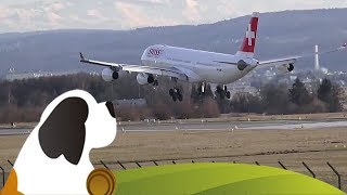 Flughafen Zürich ZRH Landungen [upl. by Leseil]