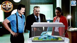 CID कैसे Solve करेगी इस अनोखे जानलेवा सांप का राज  CID  TV Serial  Latest Episode HD [upl. by Rowney]