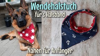 Hunde Halstuch  Für´s Halsband  Nähanleitung OHNE Schnittmuster  Nähtinchen [upl. by Euqirdor999]