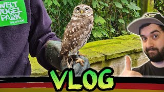 Weltvogelpark Walsrode Entdecke den größten Vogelpark der Welt  Vlog  Daveinitely [upl. by Mccord953]