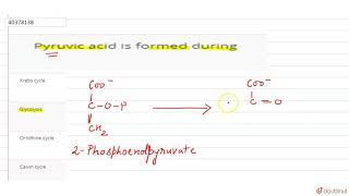 Pyruvic acid is formed during [upl. by Lebiralc]