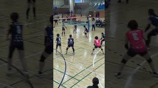 Volleyball Training skills volleyballserve volleyballworld [upl. by Lucky514]