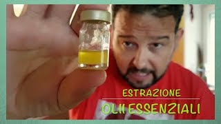 ESTRAZIONE OLIO ESSENZIALE Menta [upl. by Pansir]