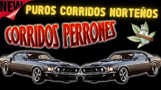 PUROS CORRIDOS VIEJITOS NORTEÃ‘OS  20 EXITOS  MIX PARA PISTEAR [upl. by Oliana700]