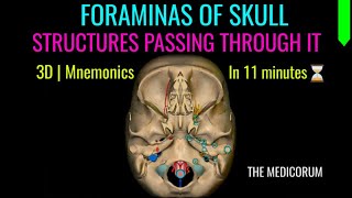 FORAMINAS OF SKULL  MNEMONICS  STRUCTURES PASSING THROUGH IT [upl. by Stormie]