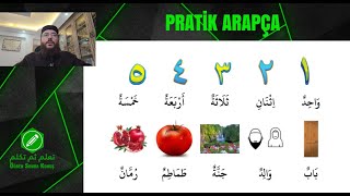 PRATİK ARAPÇA DERSLERİ 5 ÇOCUKLAR VE YETİŞKİNLER İÇİN ORTA SEVİYE [upl. by Tay]