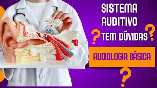 Sistema Auditivo Princípios Básicos da Audiologia [upl. by Edy35]