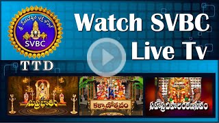 SVBC Live Streaming  SVBC TTD [upl. by Ham]