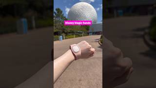 How Disney MagicBands Work 🏰✨ disneyworld disneytips [upl. by Nossyla]