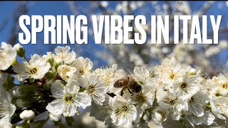 Spring vibes in Italy  Birthday greetings for its me Chieta [upl. by Ahsenra]