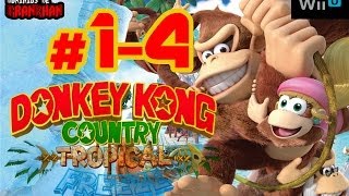 DKC TROPICAL FREEZE   14 Avionetas y vagonetas  Wii U  Guía KONGPuzzle  100 Walkthrough [upl. by Adnana266]