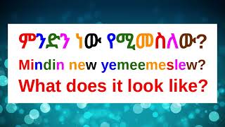 🔵How To Say quotWhat Does It Look Likequot In AmharicAmharic Phrases For BeginnersአማርኛእንግሊዝኛAmharic [upl. by Avert143]