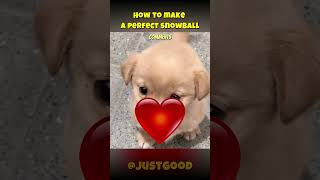 How to make a perfect snowball WOW [upl. by Dinsmore]