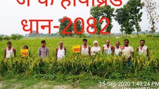 2082 Dhankisaano ke liye vardaan Jkrh 2082 kisan shree Vijay poddar [upl. by Rexana617]