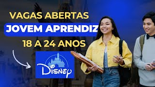 VAGAS DE JOVEM APRENDIZ NA DISNEY 2024  Inscrição COMPLETA 2024 [upl. by Notwal830]