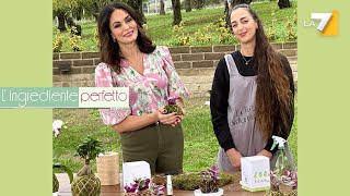 Kokedama  Lingrediente Perfetto LA7  Ep1 [upl. by Munroe]