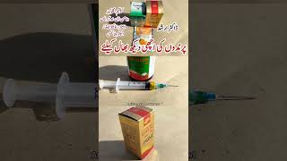 Poultry Birds Health Care Tonics  Glucose Amivicom and ORS for Pets  Dr ARSHAD [upl. by Goar450]