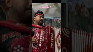 Los Traileros Del Norte  amnesia norteño cover accordion shorts musica norteña [upl. by Hars]