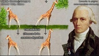 Evolución Ideas preevolucionistas de Anaximandro a Lamarck [upl. by Nidya978]